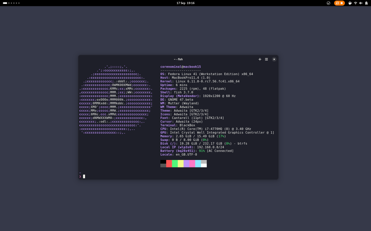 Screenshot of Fedora 41 WorkStation showing a terminal with fastfetch output.